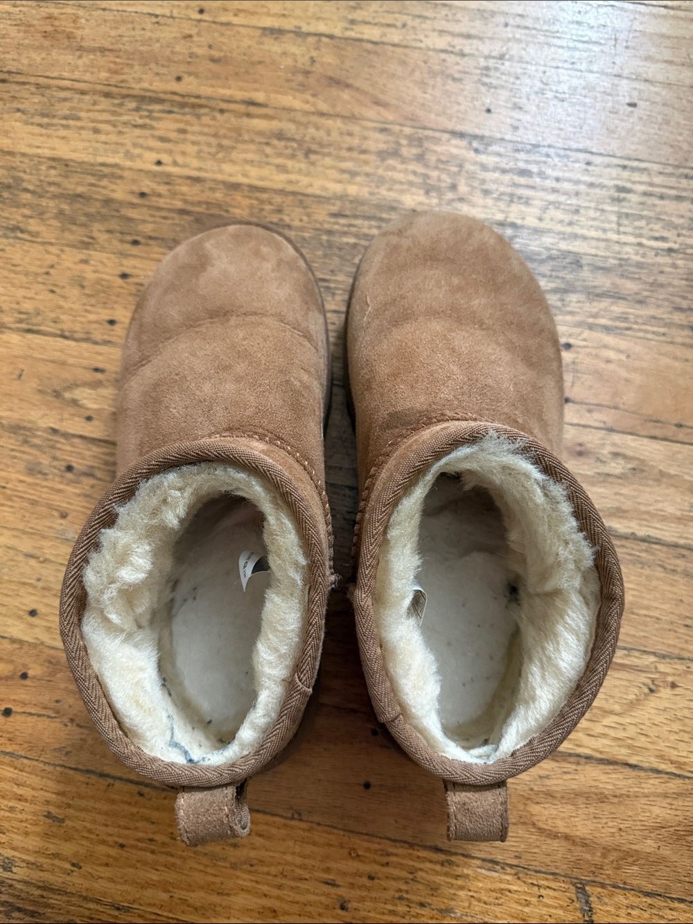 UGG Chestnut Suede Mini Ankle Booties - Picture 8 of 10